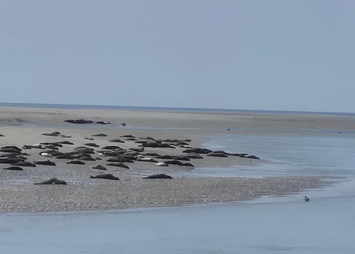 Maison Bleue Piscine *